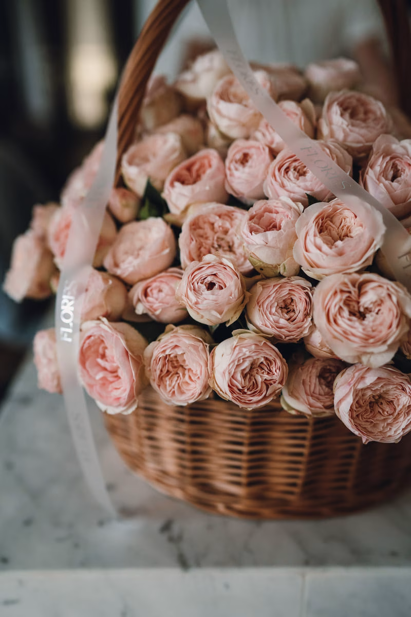 Flowerboxe